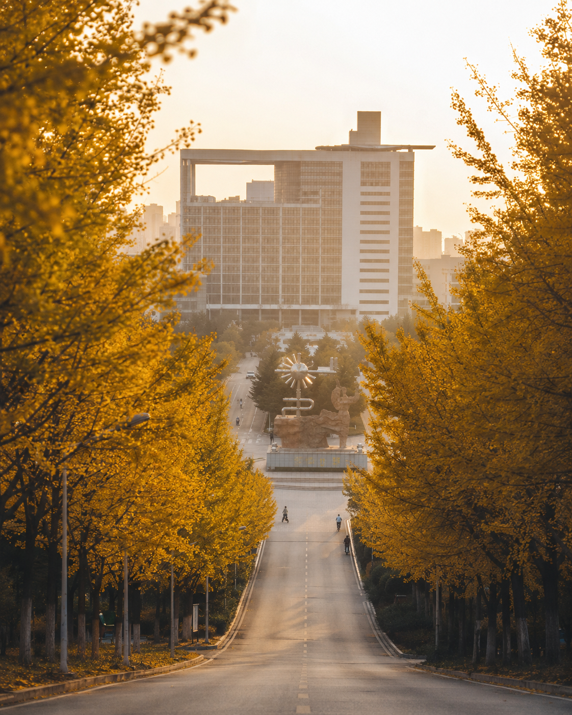 中国石油大学（华东）青岛校区秋景、道路与主楼